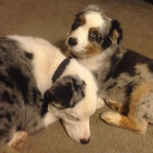 Meet your Posher, Conni